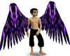 NS Wild Purple Wings Uni