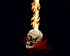 ~ZC~ Flameskull