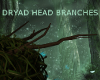 Dryad head branch