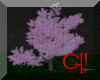 GIL"Tree anim