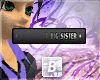 b| My Crazier Big Siste