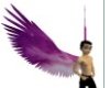 lavender dreams wings