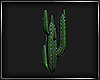 (ED1)DM--cactus--04