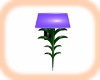 Violet PVC Wall Lamp