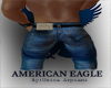 ~American Eagle Jean(UA)