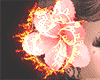 pink petals.