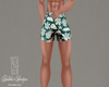 Green Beach Shorts