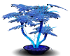 {AL} Blue Fern Plant