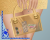 *S* Clear Purse Gold