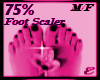 FOOT SCALER, 75%, M/F