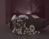 IR Roses Vintage Car