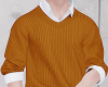 T.SweaterFall