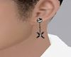 CNS ANIMATED ANTING [M]