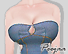 PJ Denim Dress V3