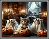 Halloween Kittens BG