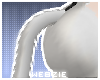 𝓦 | Demi Tail Snow