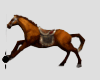 Horse-7no0