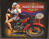 Harley Davidson 3
