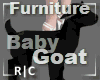 R|C Baby Goat Black Furn