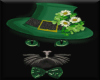 St.Patricks Cat
