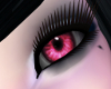 Pomagranite Pink Eyes