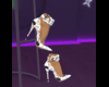 LV PLATINUM HEELS