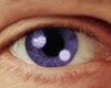 Purple Eyes - M -
