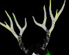 ND Antlers