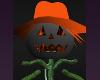 Pumpkin Halloween Costumes EVIL MOnsters Orange HATs Green Leave