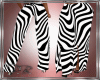 Pant zebrato