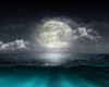 My moonlight rain night