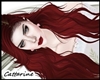 [Cat]Nephotali Red
