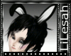 [LL] Black Bunny Ears