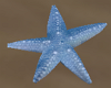 Starfish Light Blue