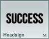 Headsign SUCCESS