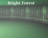 Bright Forest
