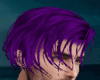 Hair Purple Cirius