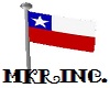 Texas State Flag pole
