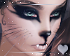 KittyKat -Whiskers