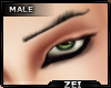 !Z! 2021 EyeBrows