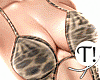 T! Cheetah Set v2