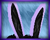 B* Bunny ears Lilac
