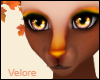 Maple | Eyes