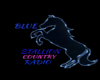 ♥KD  Blue Stallion