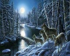 Wolves in Winter