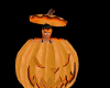 surprise in the pumpkin