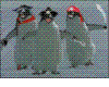 [SH11]Pirate Penguins