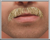 Moustache Blonde V2