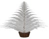 SNOW COVERED POTTED FERN