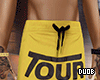 Short Tour Bieber